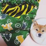 柴犬サイズの開運バンダナ