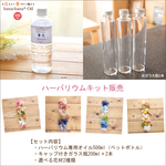 【6％OFF】【Aタイプ】ハーバリウムお試しキット（オイル、ガラス瓶2本、花材セット2種類）
