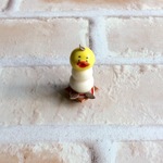 鏡モチひよこ