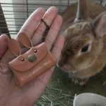  【送料無料】ネザー風うさぎチャーム