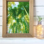 【6/14まで¥1800→¥1200】竹 〜第2章〜カラーver.【A4写真】