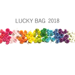 【2017☆福袋】☆かすみ草＊ドライフラワー＊140輪☆