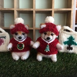 P様オーダー品（柴犬パピー）