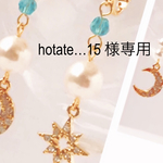 hotate...15　様専用