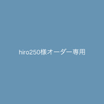 hiro250様オーダー専用ページ