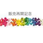 ☆販売開始記念＊かすみ草＊ドライフラワー＊100輪☆