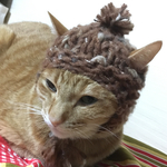 猫用耳当て付き帽子カラーネップ