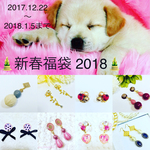    【ピアスver.】2018年 新春福袋