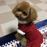 ［期間限定！］ クリスマスウェア☆