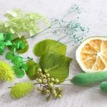 緑の花材　（ハーバリウム・ボタニカルキャンドル用素材）