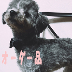 オーダー品【首輪単品】