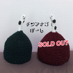 チンアナゴぼーし