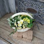 S様ご注文・プリムラジュリアンの寄せ植え