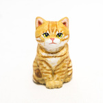コルクの茶トラ猫