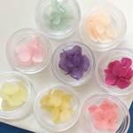 お得！8色セット・各色５枚入・ケース入り・ドライフラワーあじさい・ブリザードフラワー/押し花