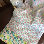 link様専用☆ぬかろんD柄