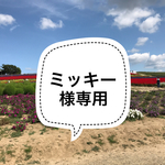 ミッキー様専用セット