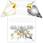 ＜メモ帳＞ちびシリーズ！オカメインコ