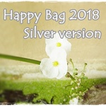 【送料無料】Happy Bag 2018（福袋・シルバー）