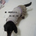 姫・麻呂ちゃんオーダー着物風　2着