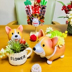 R子様専用ページ🍀再販😄多肉ジョーロ犬＆フラワー犬💐365日よろしくワン 🐶