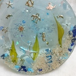 海  オルゴナイトコースター