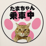 肉球車用ステッカー1匹用