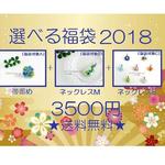選べる福袋2018　A　あけましておめでとうございます！