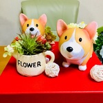おかえりなさい🐶多肉ジョーロ犬🍀＆フラワー犬💐365日よろしくワン🐶