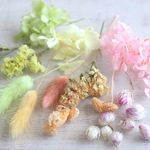 パステルの花材　（ハーバリウム・ボタニカルキャンドル用素材）