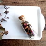 植物標本　Botanical Collection■No.RB-2　バラのつぼみ　ヘッド