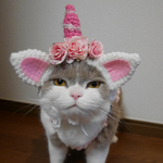 🦄ユニャコーン