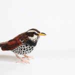 1/10まで送料無料！羊毛フェルトのほっこり野鳥オブジェ【ツグミ】