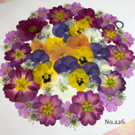 ♡new♡ 送料無料！¥1230 ♡たっぷり押し花セット♡