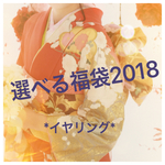 ✳本日最終日✳ 選べる福袋2018  *イヤリング* 販売数15