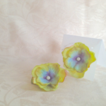 hortensia pi