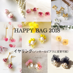  2セット追加【イヤリング】HAPPY BAG 2018    福袋
