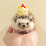 ハリネズミ帽子 ケーキ