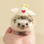 ハリネズミ帽子  天使