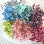 プリザ　紫陽花　６色アソート