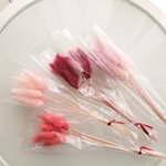 【outlet】花材 ラグラス 51本