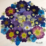 ♡new♡ 送料無料！¥1160 ♡たっぷり押し花セット♡