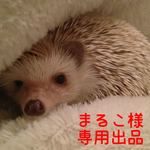 まるこ様専用出品ページ