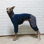 ランダム ボーダー ロンパース イタグレ服