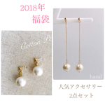 🌟 送料無料 🌟 2018年 福袋 人気 アクセサリー イヤリング 2点 セット  