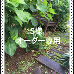 S様オーダー専用