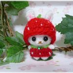 ✿ｍ…様オーダー分✿あみぐるみ✿いちごコスプレ🍓うさぎちゃん🐇♪