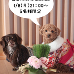 ★1/8（月）夜21：00販売★☆お年玉SALE♥どれでもお好きなお洋服２着選んで3900円♪送料無料♪【先着５名様限定】