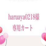 ★haruaya0218様専用カート★