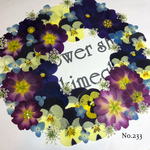 ♡new♡ 送料無料！¥1300 ♡たっぷり押し花セット♡